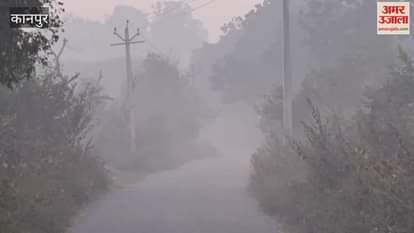 Weather forecast for Bhitargaon area: Clear weather from November 24th to 28th