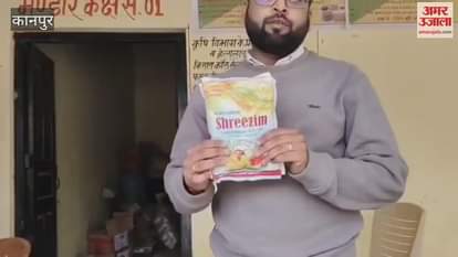 Sow wheat seeds with Carbendazim to prevent root rot