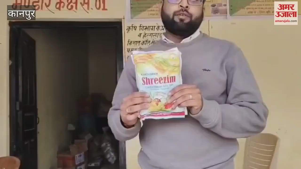 Sow wheat seeds with Carbendazim to prevent root rot