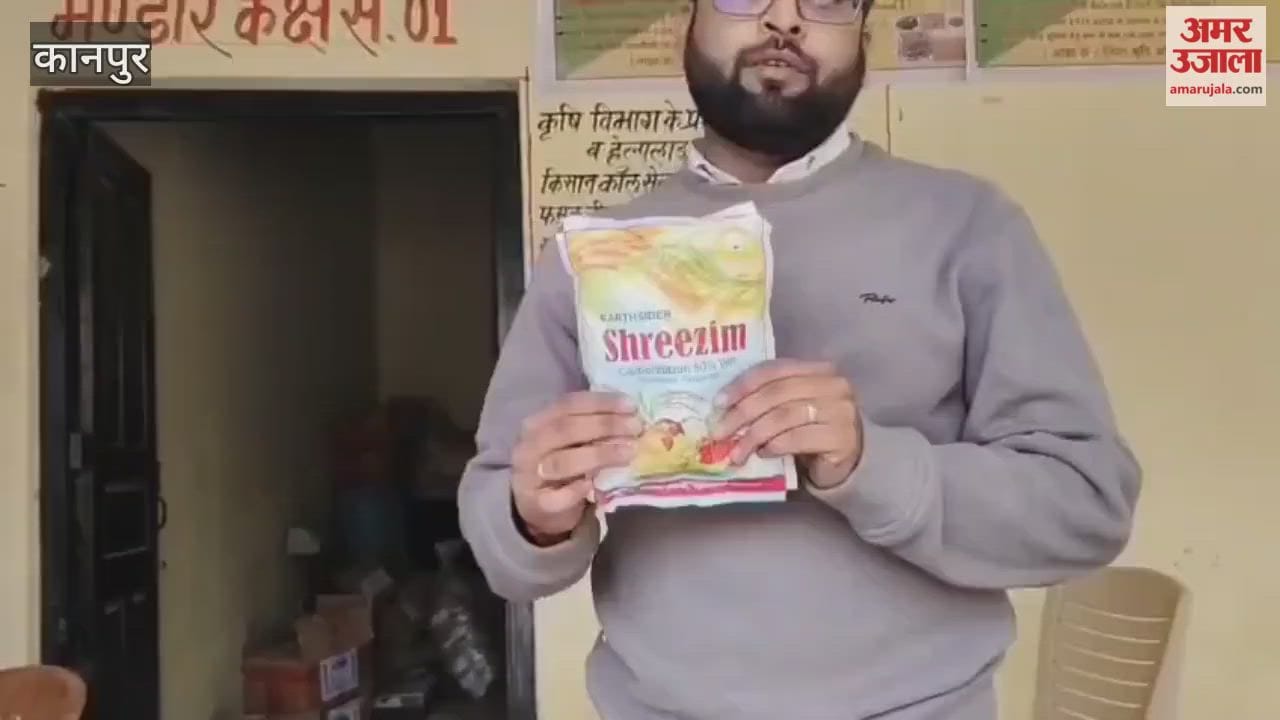 Sow wheat seeds with Carbendazim to prevent root rot