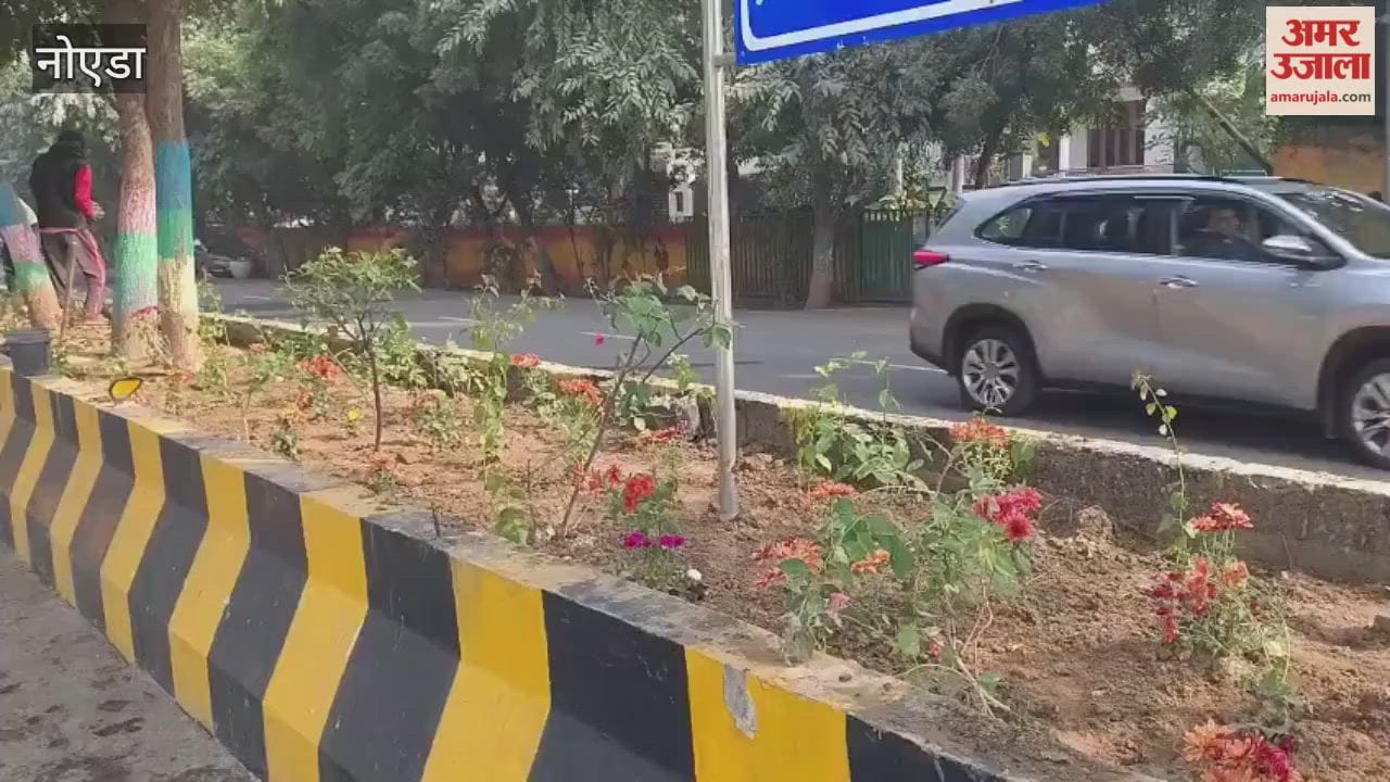 Cleaning is being done around Noida Sector 33 to 50.