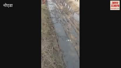 Greater Noida This village in Jewar has a dirt road