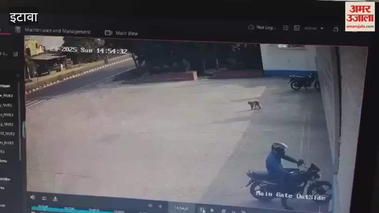 Private bus loses control and crashes into dairy plant gate in Etawah, injuring 24