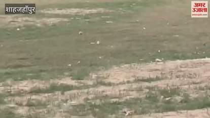 Youth XI defeated Science XI by 37 runs in the Mumukshu Cricket League in Shahjahanpur