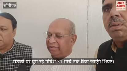 The cattle roaming on the streets will be shifted by March 31