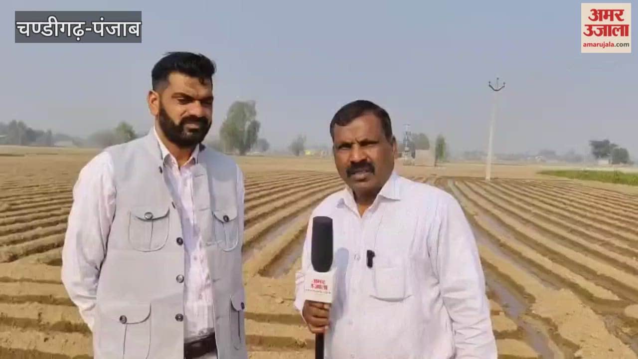 Social organizations have made the land of flood-affected villages of Ferozepur suitable for farming.