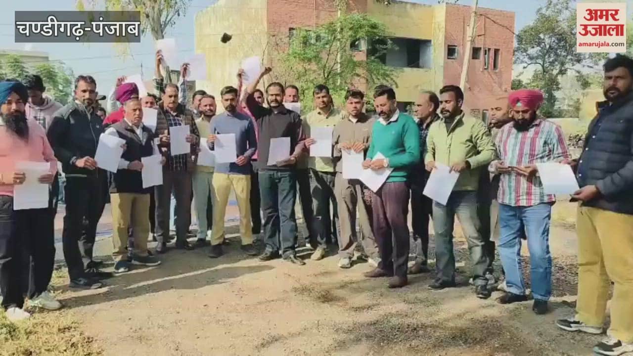 Electricity employees protest in Guruharsahaye