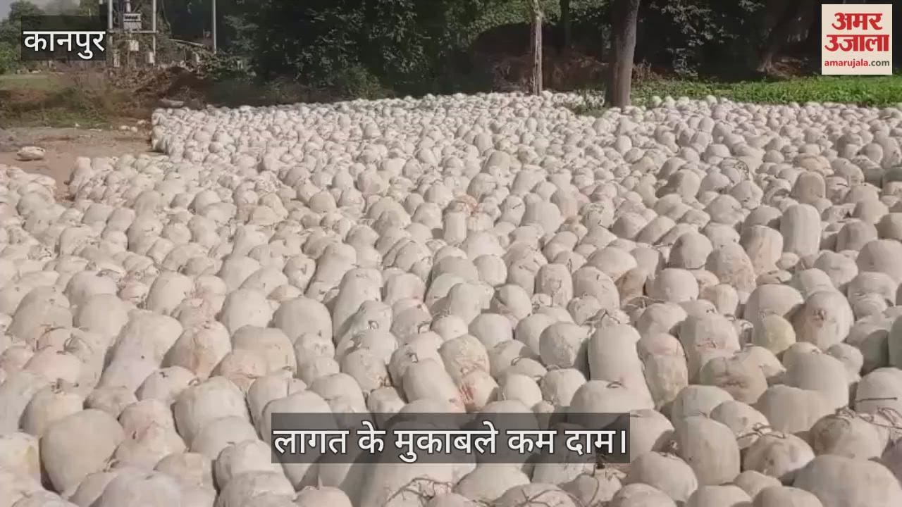 कानपुर: कुम्हड़ा के दाम में गिरावट, किसान माल डंप करने को मजबूर, अच्छे रेट का इंतजार