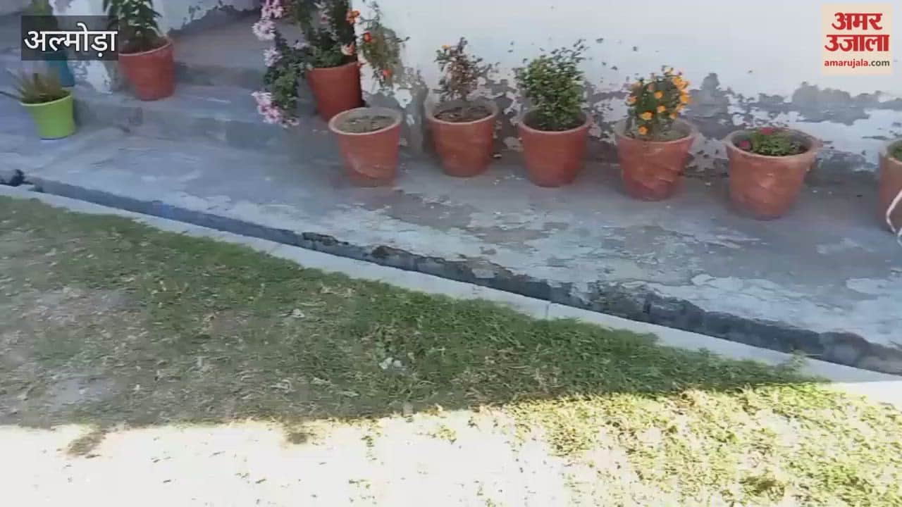 Smuggler arrested with hashish in almora