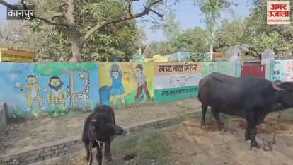 Swachh Bharat Abhiyan is a mockery, with the Haskar Primary School becoming a stable