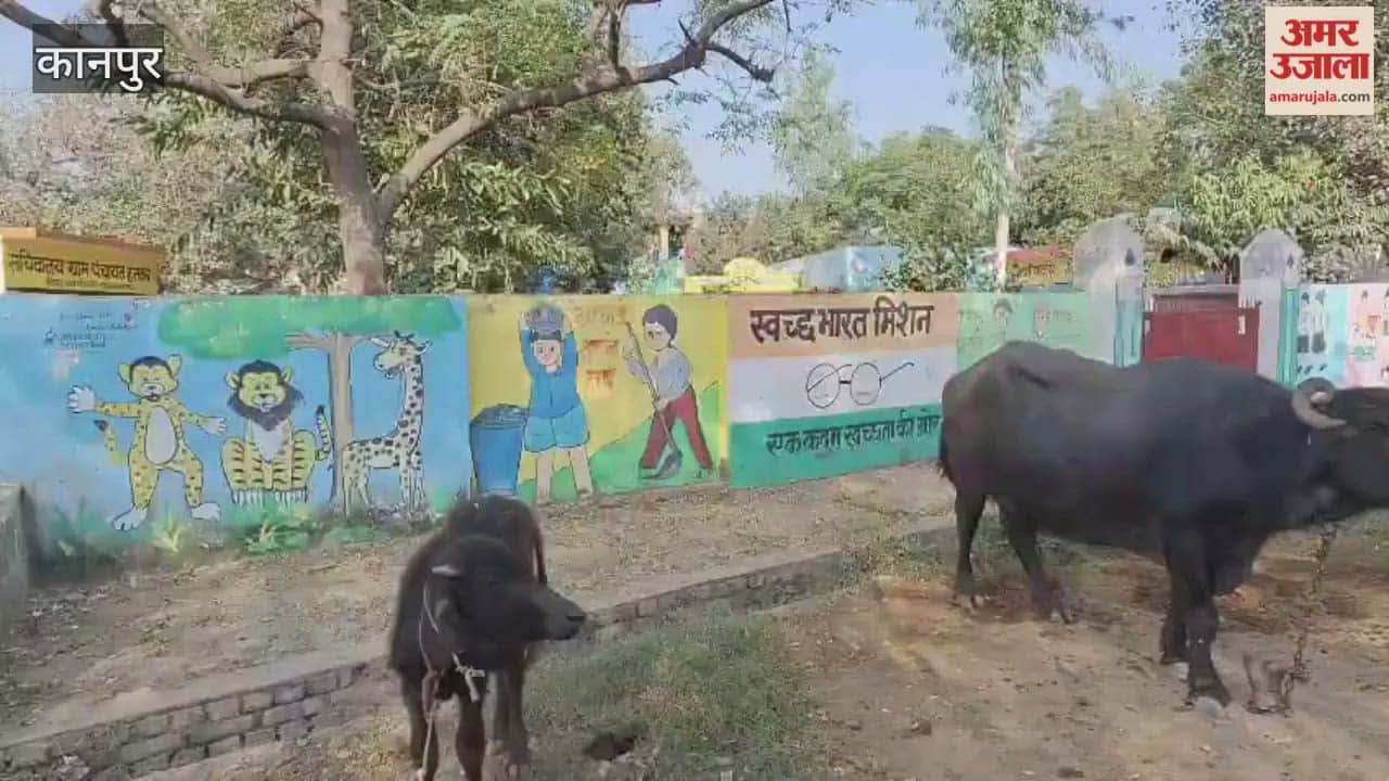 Swachh Bharat Abhiyan is a mockery, with the Haskar Primary School becoming a stable