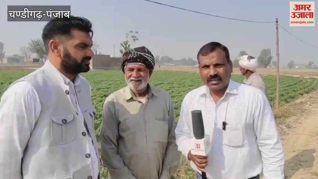 Potato crop failed in flood affected villages of Ferozepur