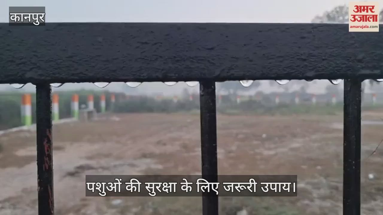 कानपुर: भीतरगांव में रात का तापमान गिरा, ओस बढ़ने से पशुओं को खतरा…खुले में न बांधें