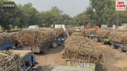 Inauguration of 42nd sugarcane crushing season at Cooperative Sugar Mill in Palwal
