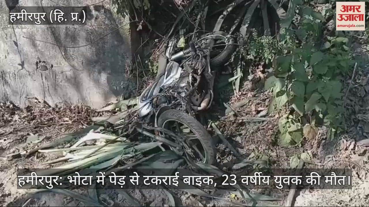 Hamirpur: Bike collides with tree in Bhota, 23-year-old youth dies
