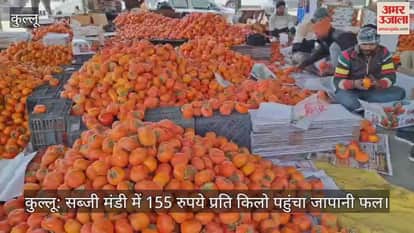 Kullu: Japanese fruit reaches Rs 155 per kg in the vegetable market, gardeners are getting good prices.