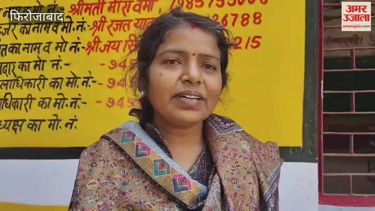 Challenges Faced by BLOs in SIR From Missing Photos to Absent Voters