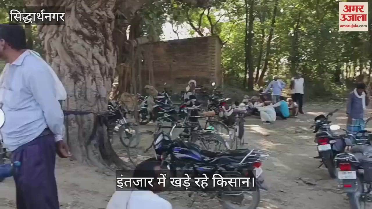 Farmers lined up for urea since morning.