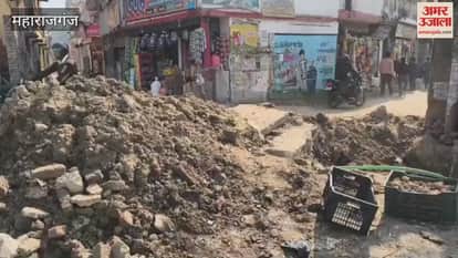 Pedestrians face difficulties due to unfilled potholes