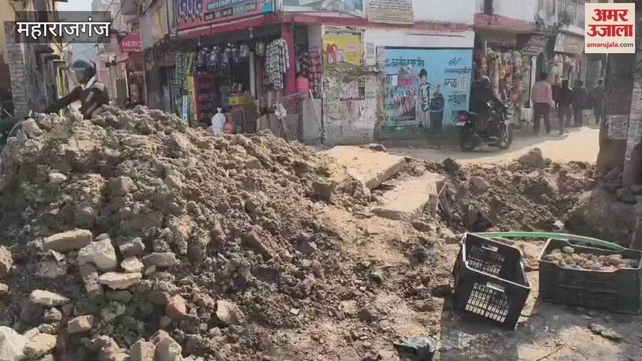 Pedestrians face difficulties due to unfilled potholes