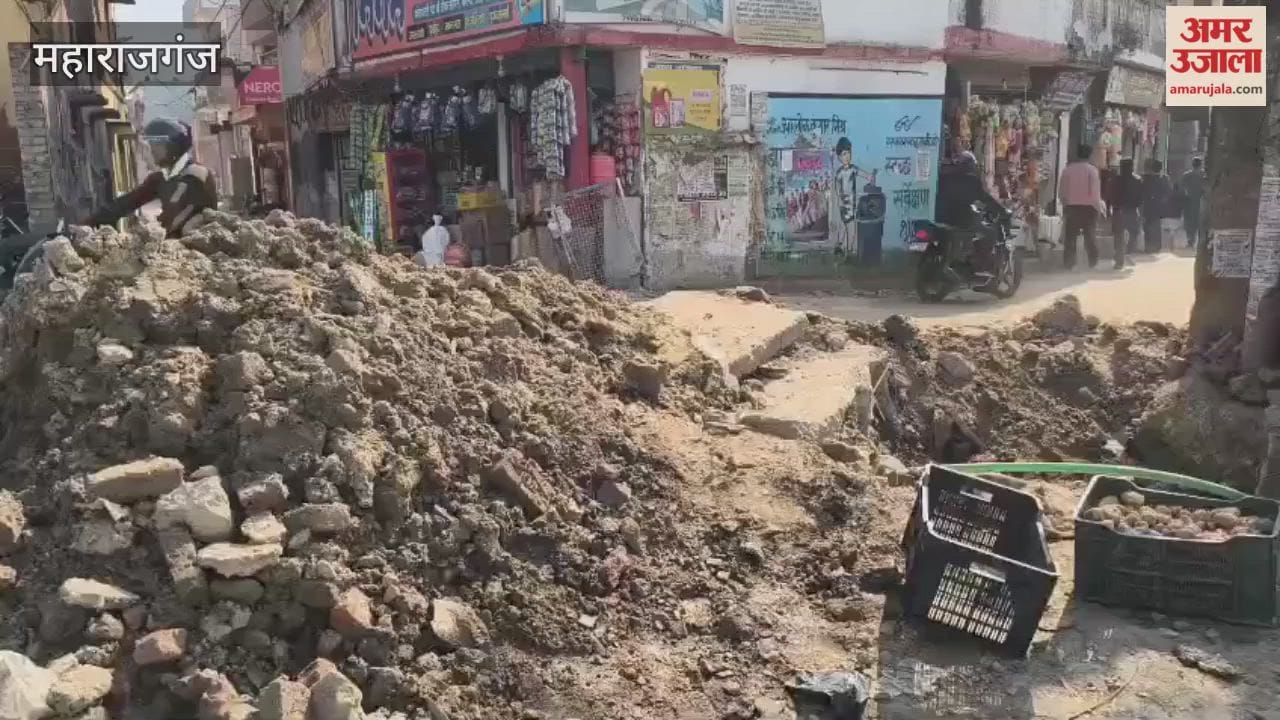 Pedestrians face difficulties due to unfilled potholes