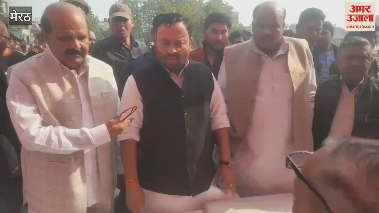Meerut: RLD organised employment fair on Constitution Day, Cabinet Minister Anil Kumar reached and inspected