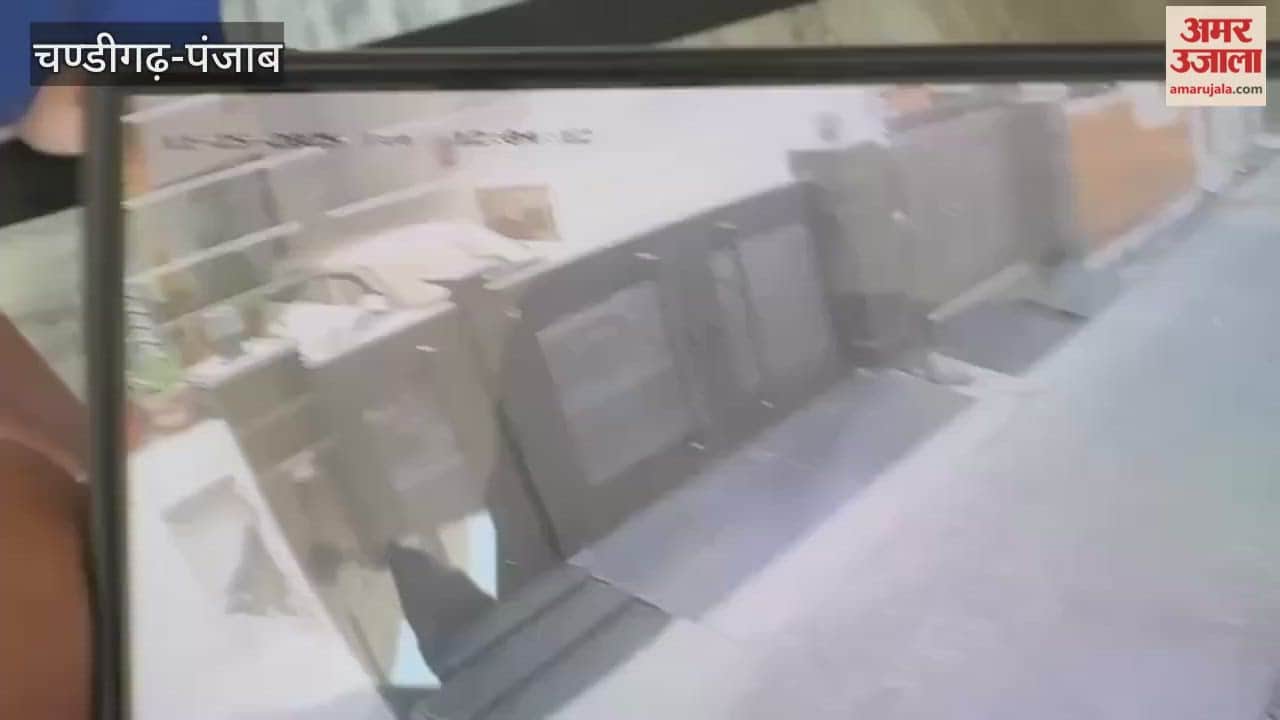 Bull attacked a playing child