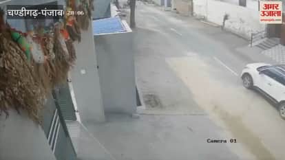 Creta car riders steal goat in Moga