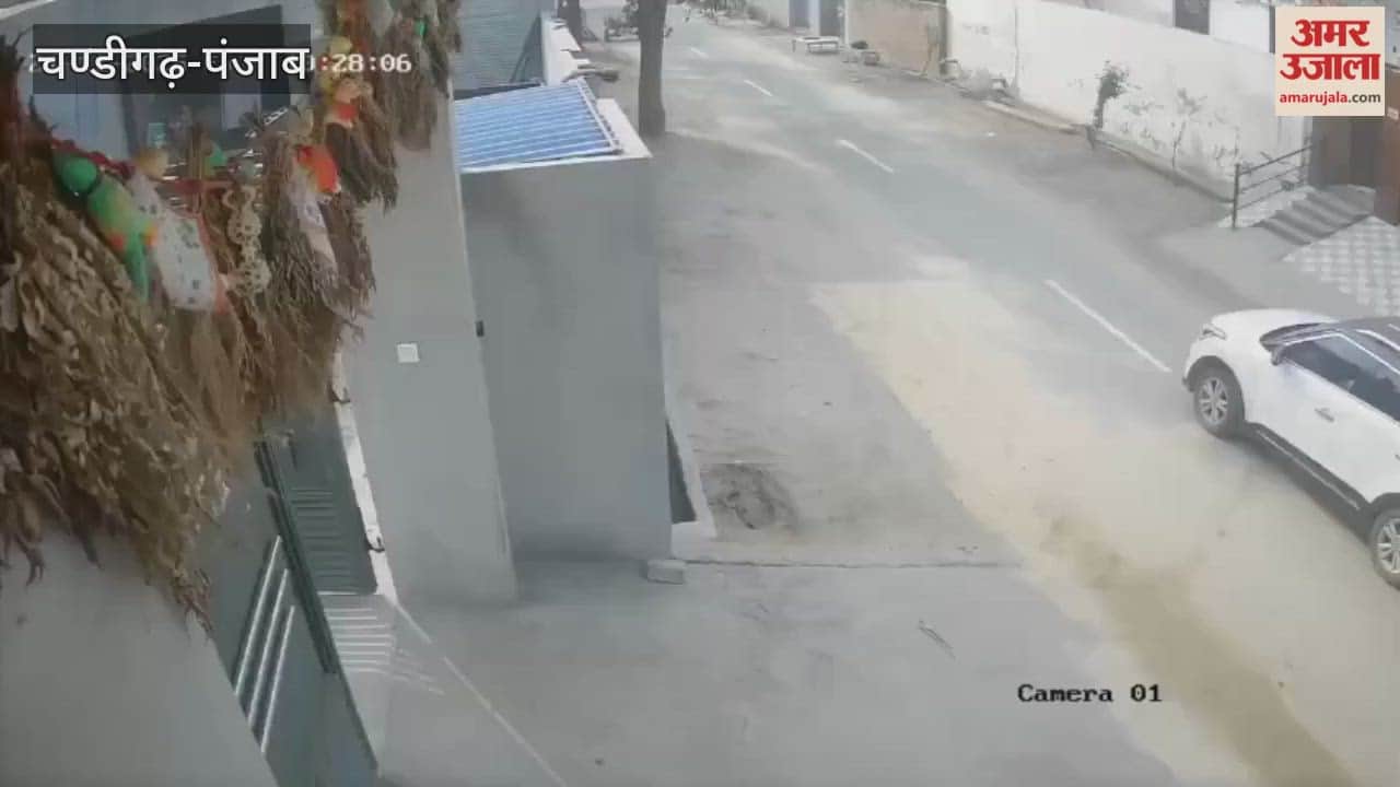 Creta car riders steal goat in Moga