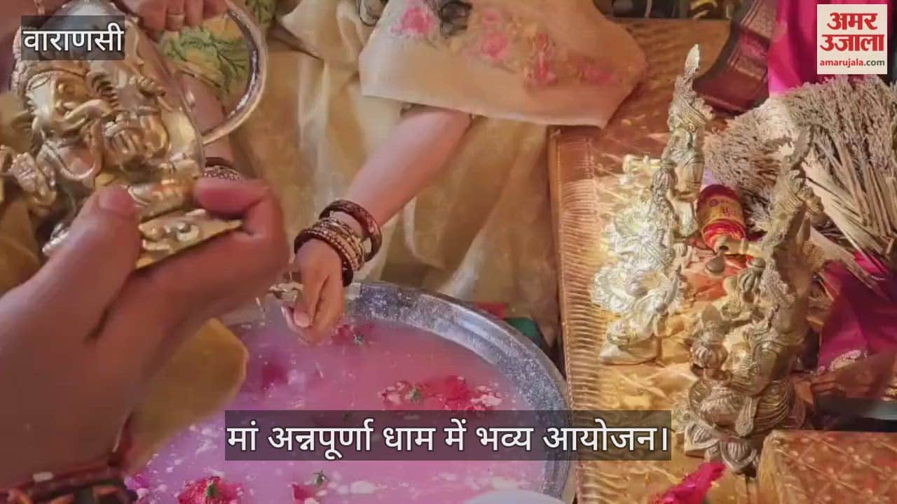 Maa Annapurna was divinely adorned with paddy stalks.
