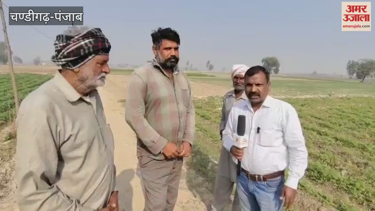 Carrot crop destroyed in hundreds of acres of flood affected land in Ferozepur