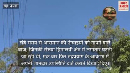 Eagles seen in the skies of Tilwara, nature lovers expressed happiness Rudraprayag News