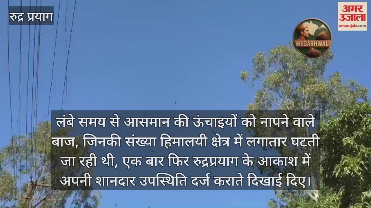 Eagles seen in the skies of Tilwara, nature lovers expressed happiness Rudraprayag News