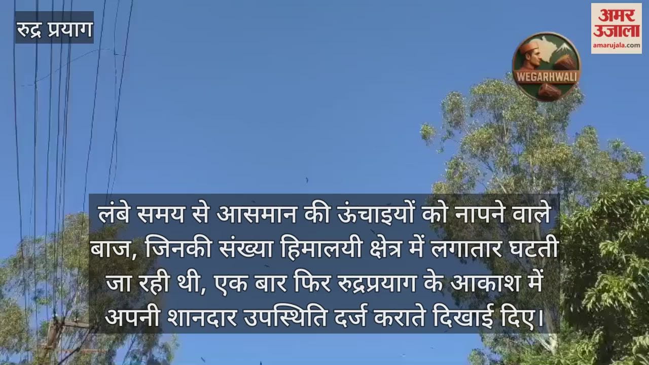 Eagles seen in the skies of Tilwara, nature lovers expressed happiness Rudraprayag News