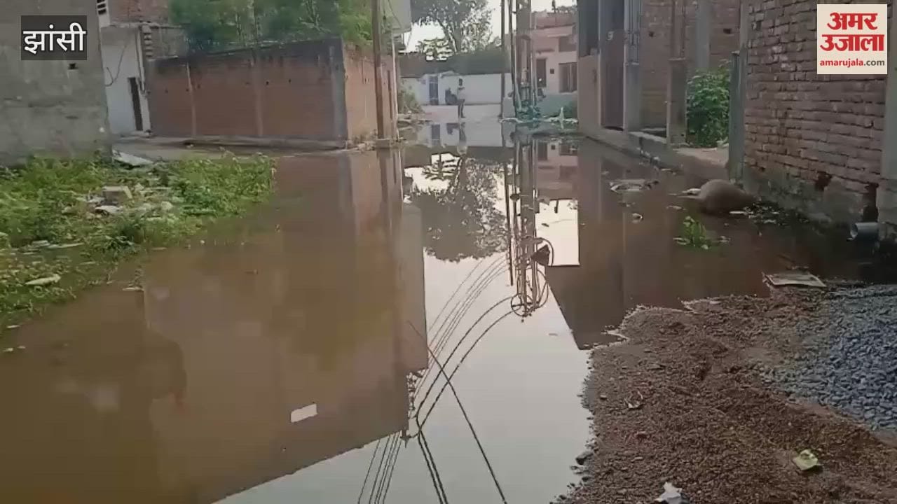 Video: Dirty water filled the main road in Municipal Ward 21 of Jhansi, people told about the problem