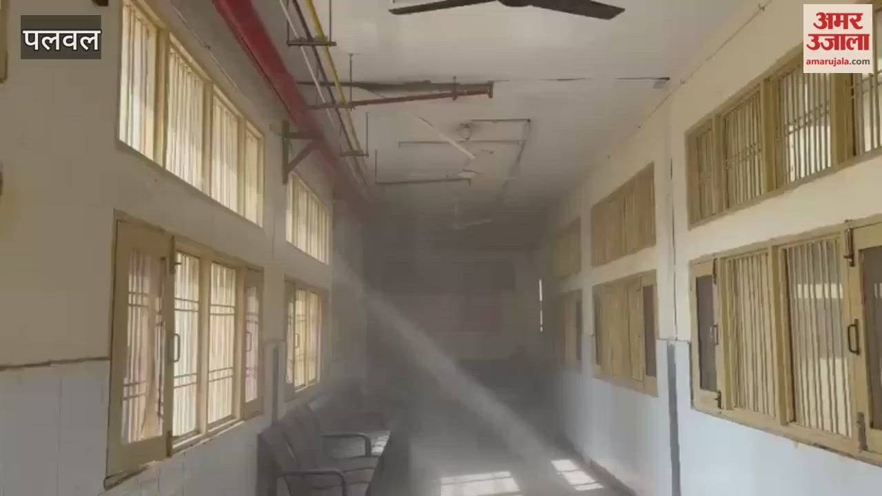 ceiling of the delivery room gallery at Palwal District Civil Hospital collapsed