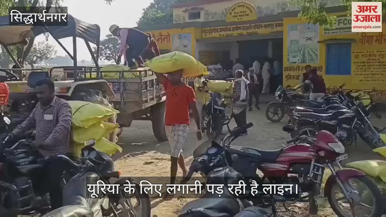 Some were wandering for a sack of urea, while others were loading it on a trolley.