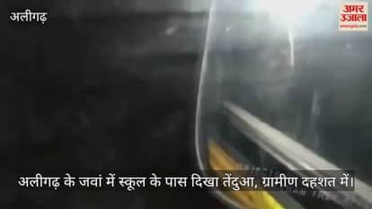 अलीगढ़ के जवां में स्कूल के पास दिखा तेंदुआ, ग्रामीण दहशत में