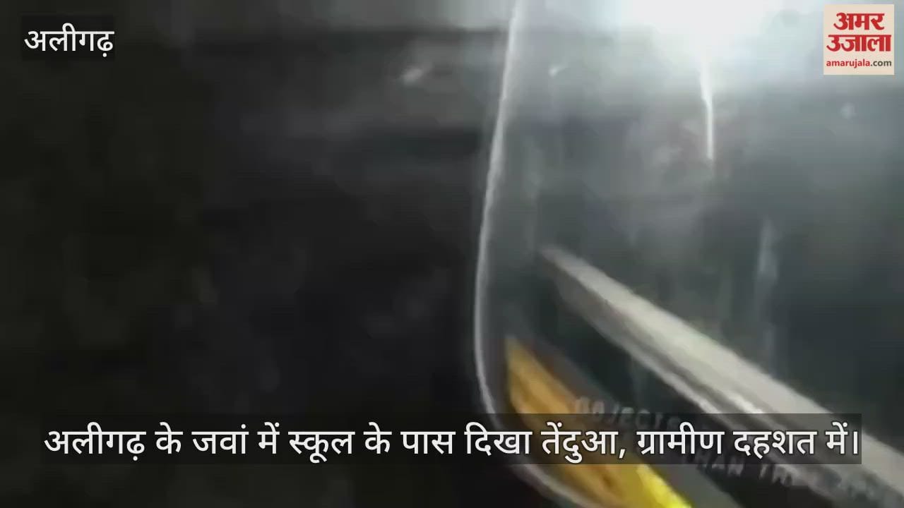 अलीगढ़ के जवां में स्कूल के पास दिखा तेंदुआ, ग्रामीण दहशत में