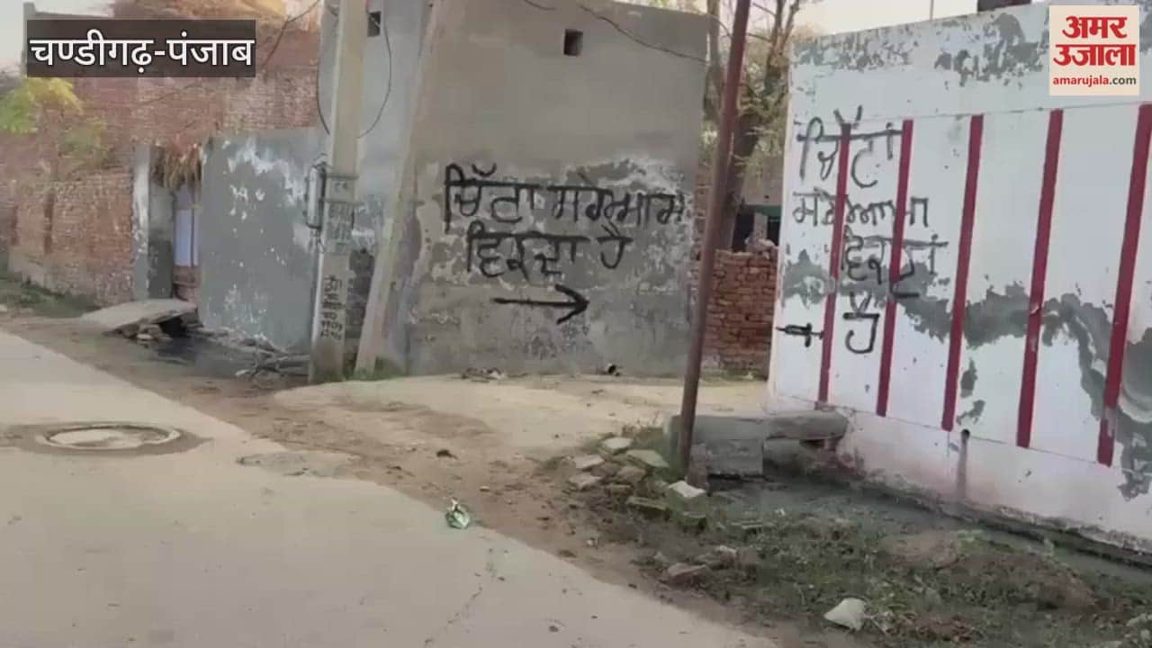 written on walls that chitta is sold openly here in Bathinda