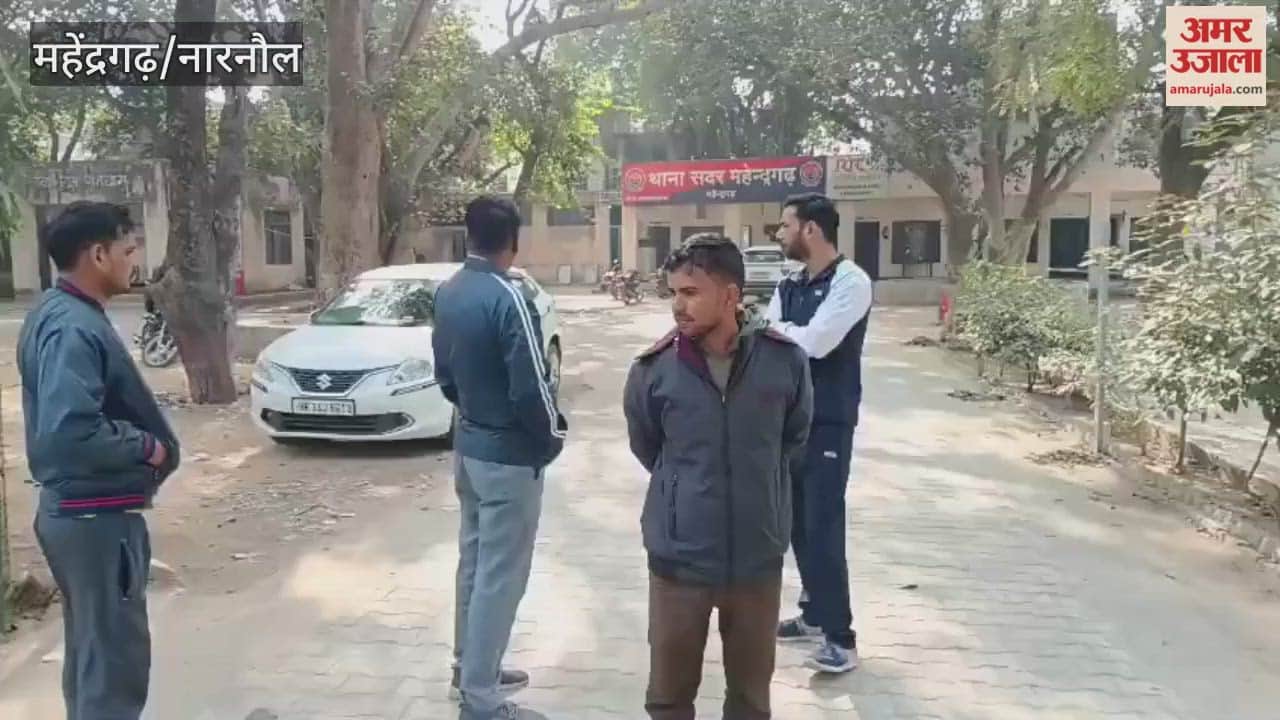 Driver dies after auto overturns in Mahendragarh, case filed against unknown person