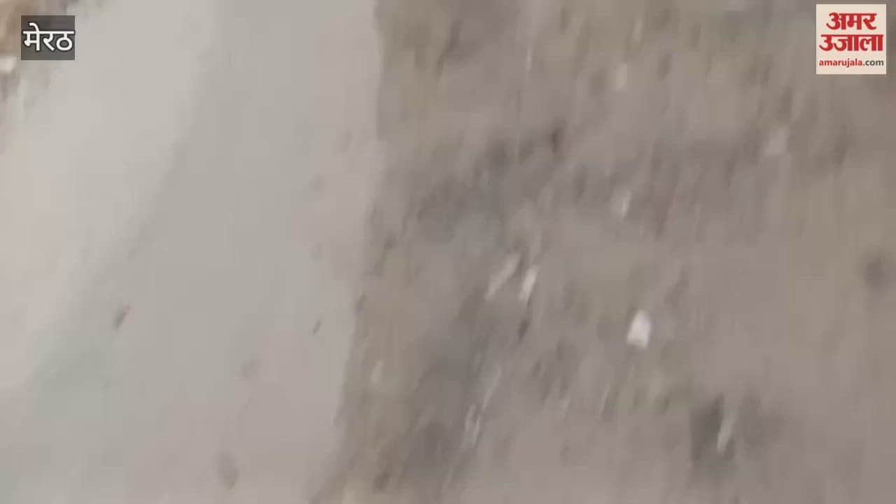 Meerut: Allegation of not widening the Panch Pyare Bhai Dharamsingh Ji Gurdwara road as per the standards.