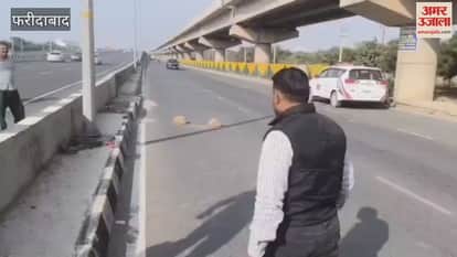 Python rescued on Faridabad Sector 65 Expressway