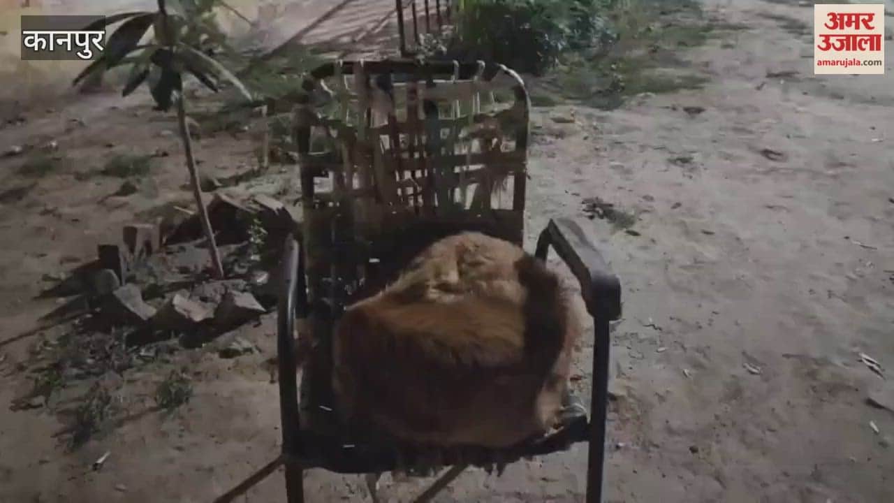 Falling night temperatures have increased the melting of animals, causing distress to animals