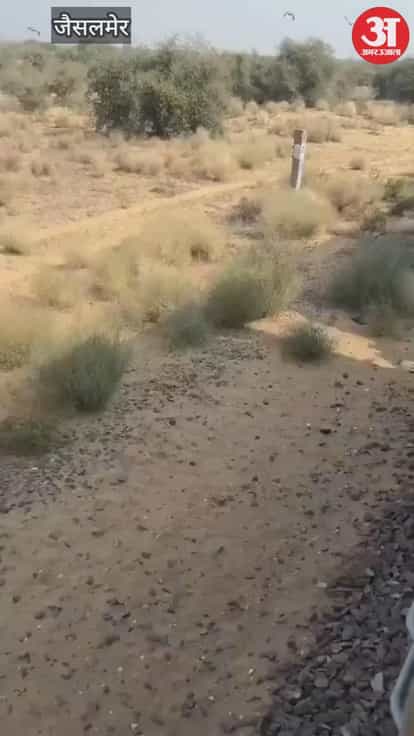 Loco pilot's unique love for wildlife: Swarnanagari Express stopped to save vultures