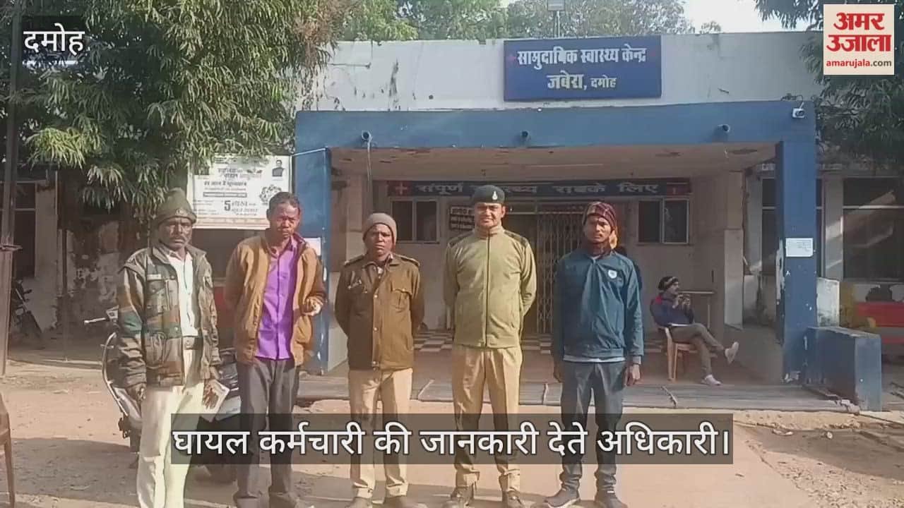 Bear attacks patrol staff in Tiger Reserve