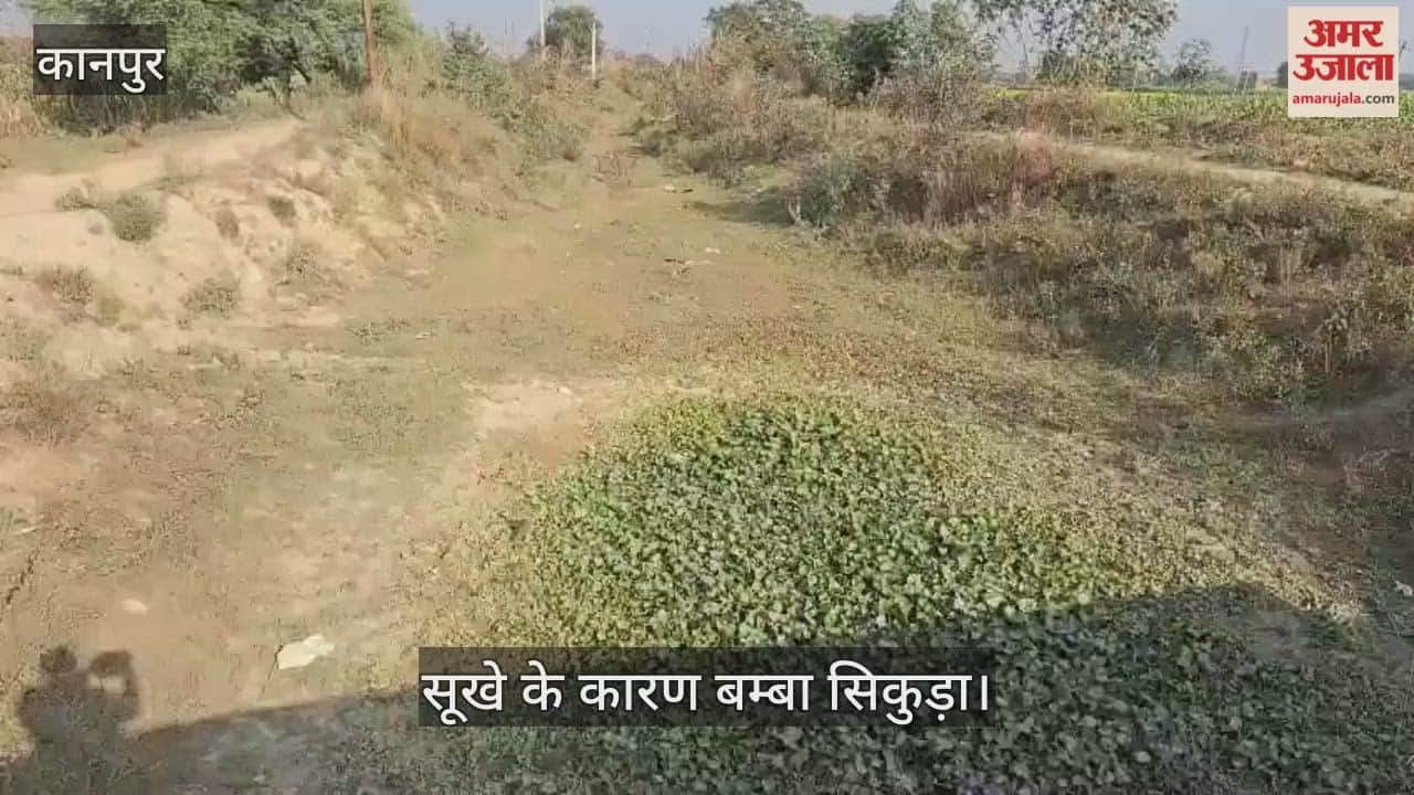 कानपुर: फतेहपुर को जाने वाला बड़ा बम्बा पांच वर्षों से सूखा, किसान कर रहे किनारे की कटान