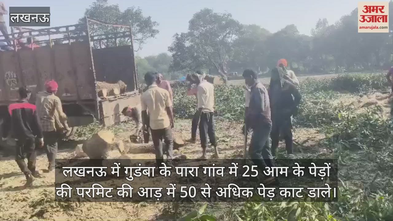 Video : लखनऊ में गुडंबा के पारा गांव में 25 आम के पेड़ों की परमिट की आड़ में 50 से अधिक पेड़ काट डाले