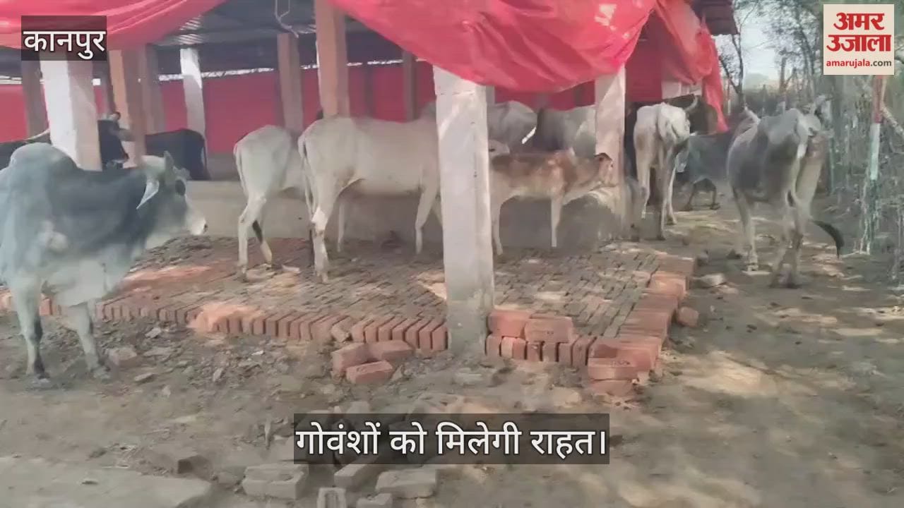 कानपुर: टिकवांपुर गौशाला में ठंढ से बचाव के लिए लगाए गए तिरपाल