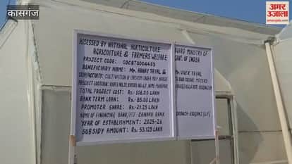 Growing colorful capsicum by setting up high-tech polyhouse in kasganj